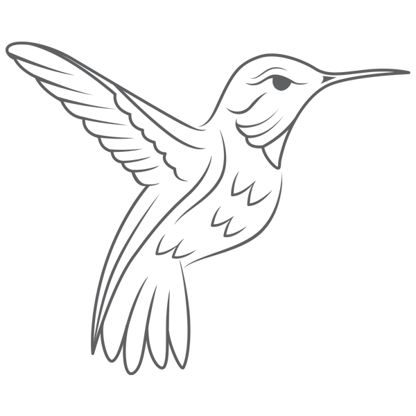 Kinesiologie Vogel von Portilla Kinesiologie